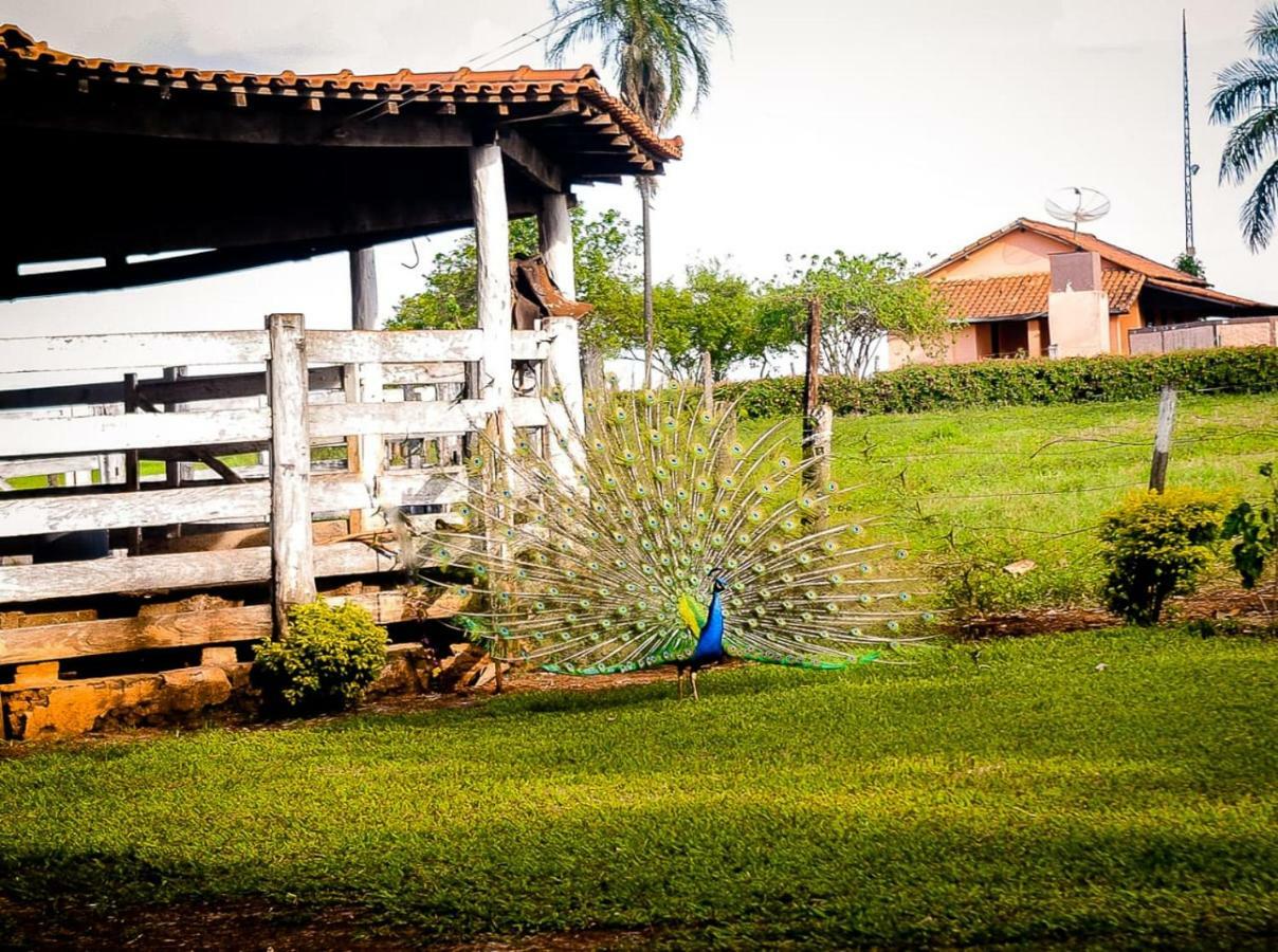 Pousada Casco De Ouro Miguelopolis Exterior foto